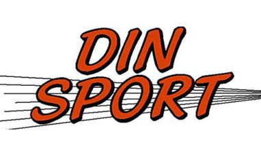din_sport_logo